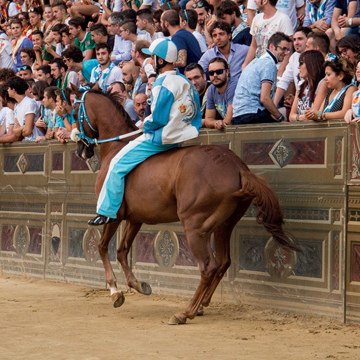 palio_2017_4